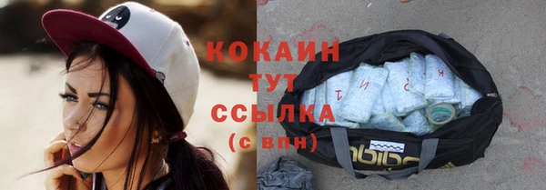 ГАЛЛЮЦИНОГЕННЫЕ ГРИБЫ Вязьма