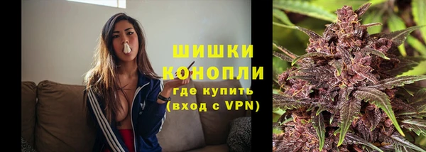 стаф Вязники