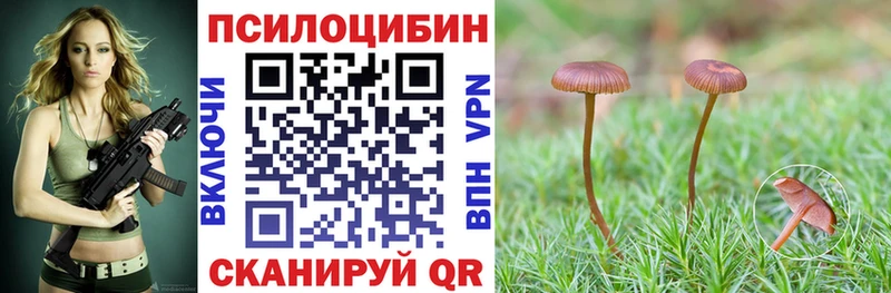 купить наркоту  Зуевка  Псилоцибиновые грибы Psilocybe 